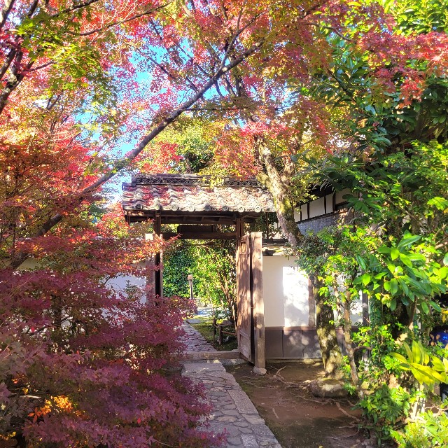 f:id:atoriatoriatori:20221206090753j:image