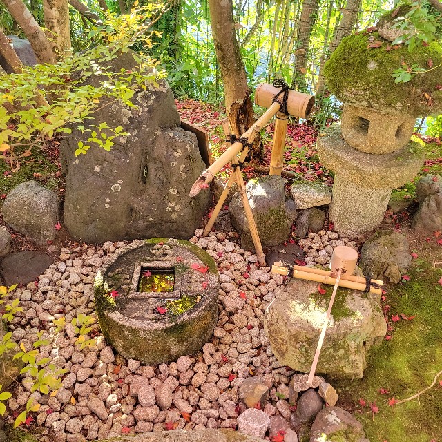 f:id:atoriatoriatori:20221206090801j:image