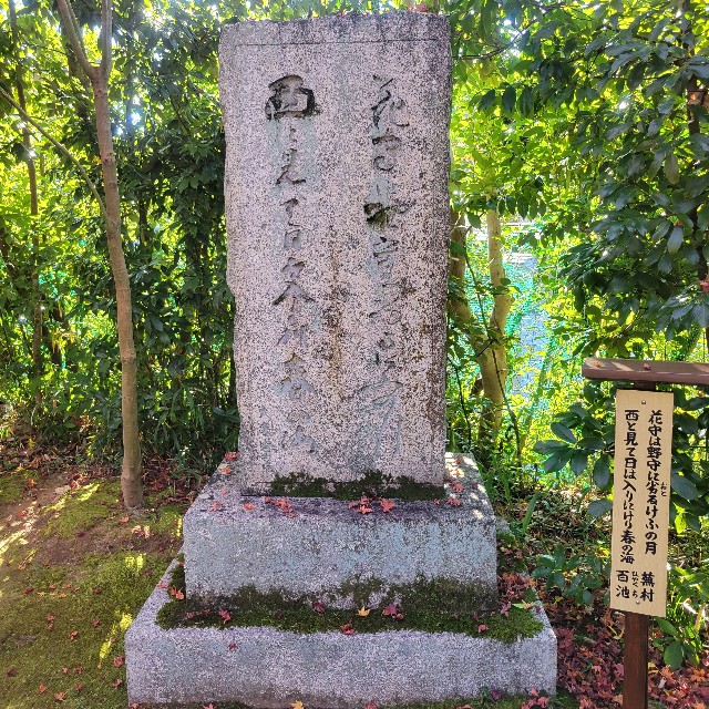 f:id:atoriatoriatori:20221206090809j:image