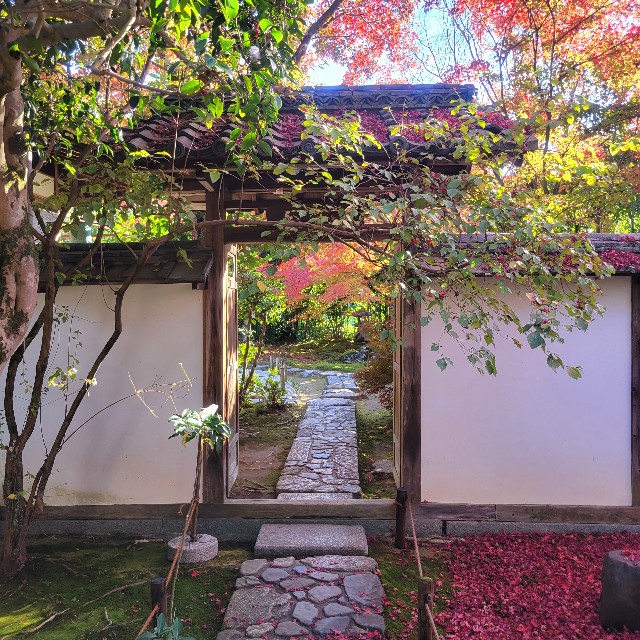 f:id:atoriatoriatori:20221206103044j:image