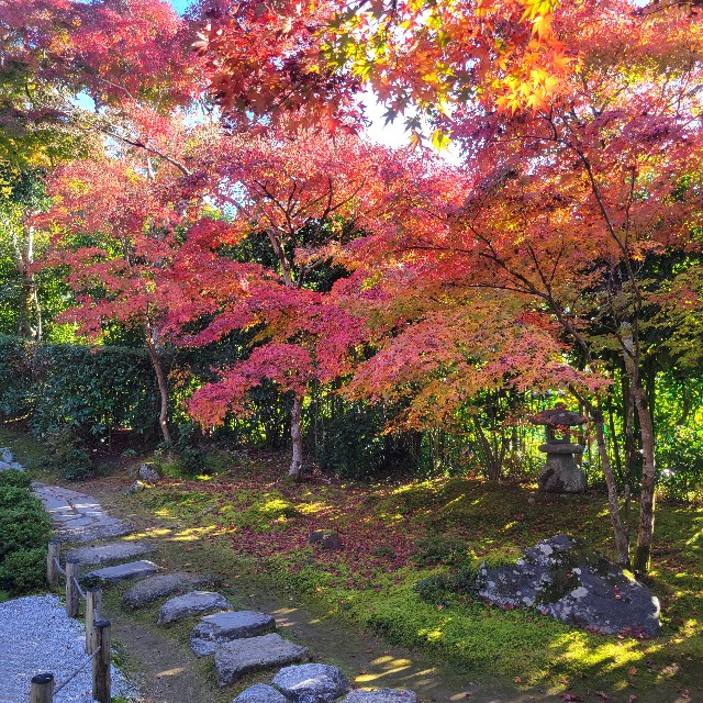 f:id:atoriatoriatori:20221206104037j:image