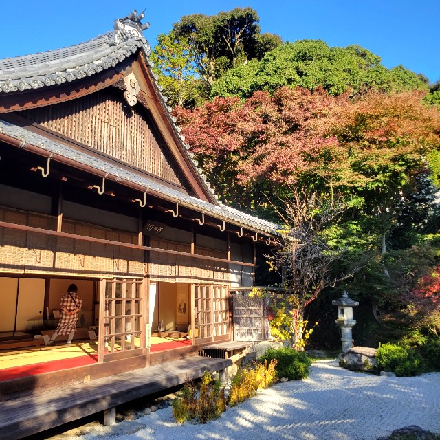 f:id:atoriatoriatori:20221206104345j:image