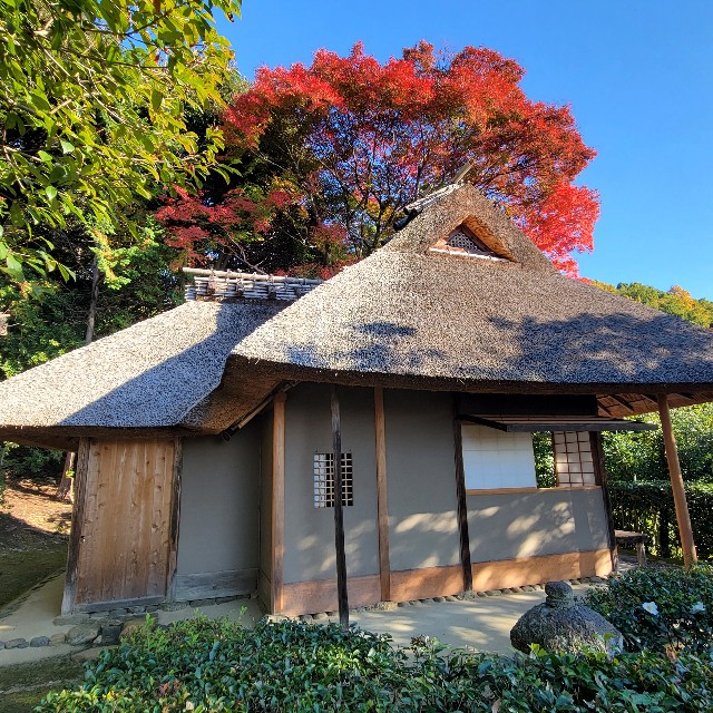 f:id:atoriatoriatori:20221206222854j:image