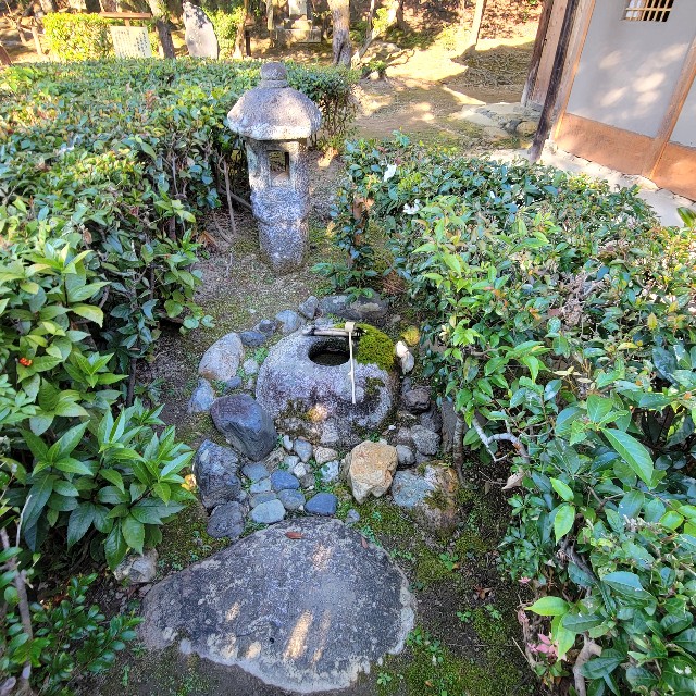 f:id:atoriatoriatori:20221206222902j:image