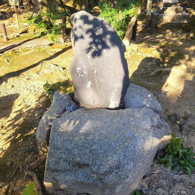 f:id:atoriatoriatori:20221206222931j:image