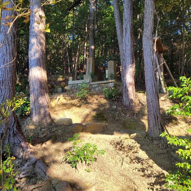 f:id:atoriatoriatori:20221207090300j:image