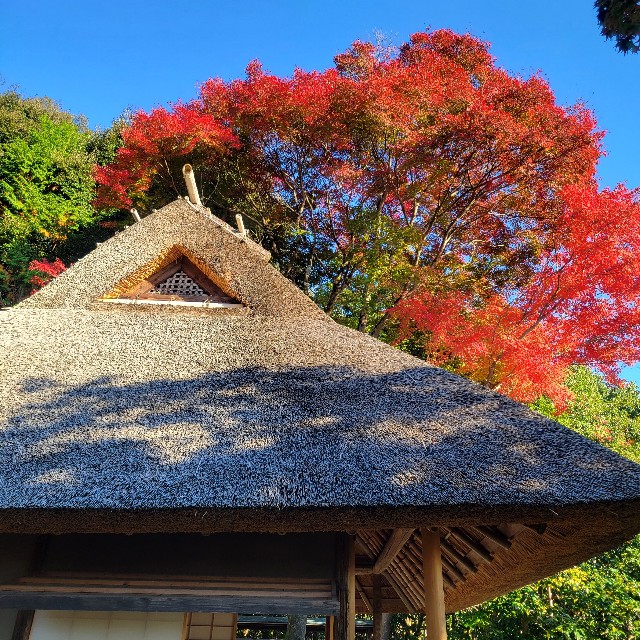 f:id:atoriatoriatori:20221207090631j:image