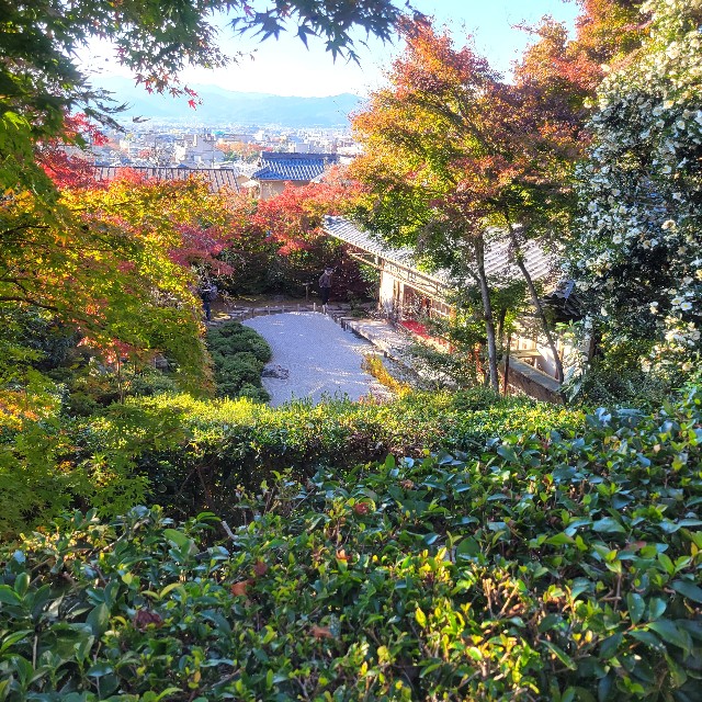 f:id:atoriatoriatori:20221207090737j:image