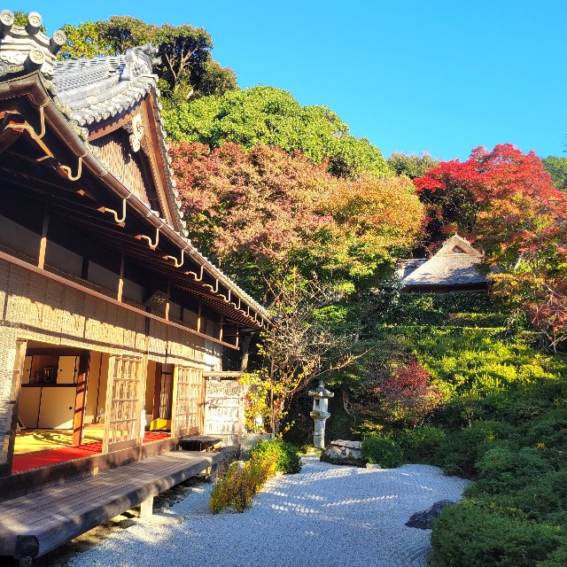 f:id:atoriatoriatori:20221207100540j:image