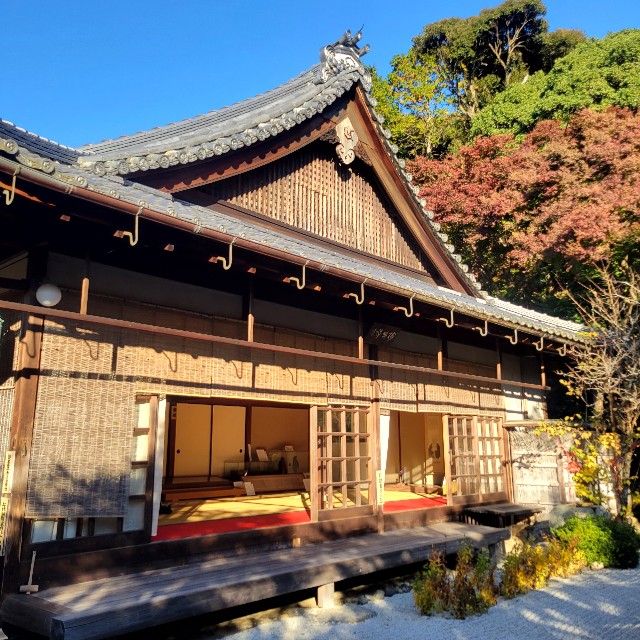 f:id:atoriatoriatori:20221207100556j:image