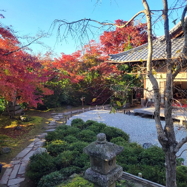 f:id:atoriatoriatori:20221207101351j:image