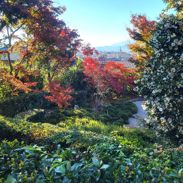 f:id:atoriatoriatori:20221207101406j:image