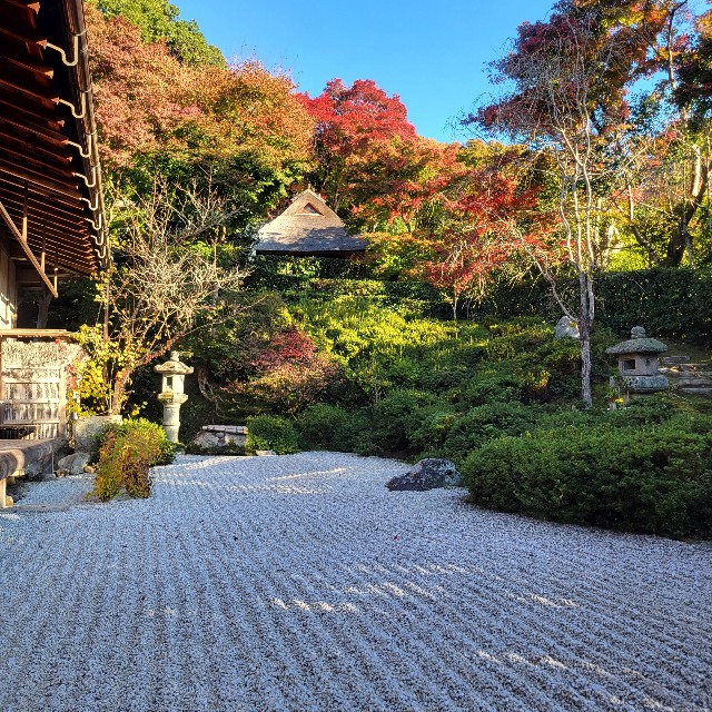 f:id:atoriatoriatori:20221207101708j:image