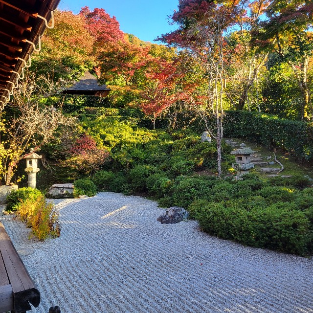 f:id:atoriatoriatori:20221207101717j:image