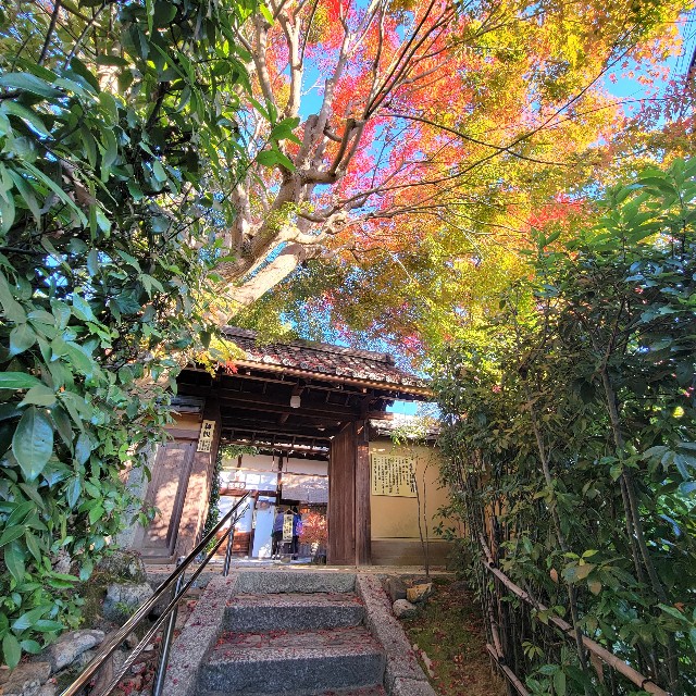 f:id:atoriatoriatori:20221207102556j:image