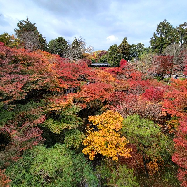 f:id:atoriatoriatori:20221208223545j:image