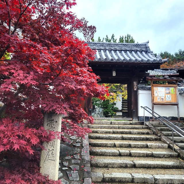 f:id:atoriatoriatori:20221212202631j:image