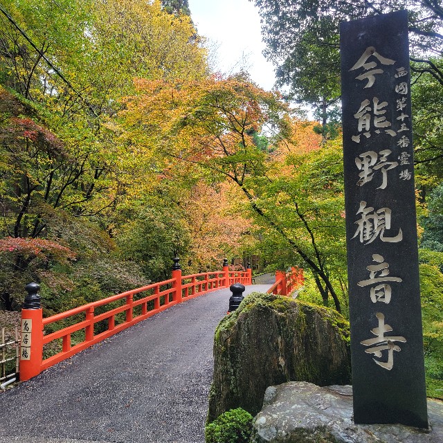 f:id:atoriatoriatori:20221214095932j:image