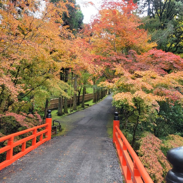 f:id:atoriatoriatori:20221214103659j:image