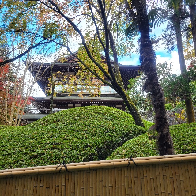 f:id:atoriatoriatori:20221214104247j:image