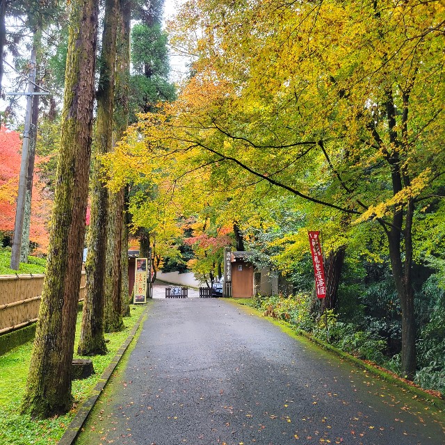f:id:atoriatoriatori:20221214104254j:image