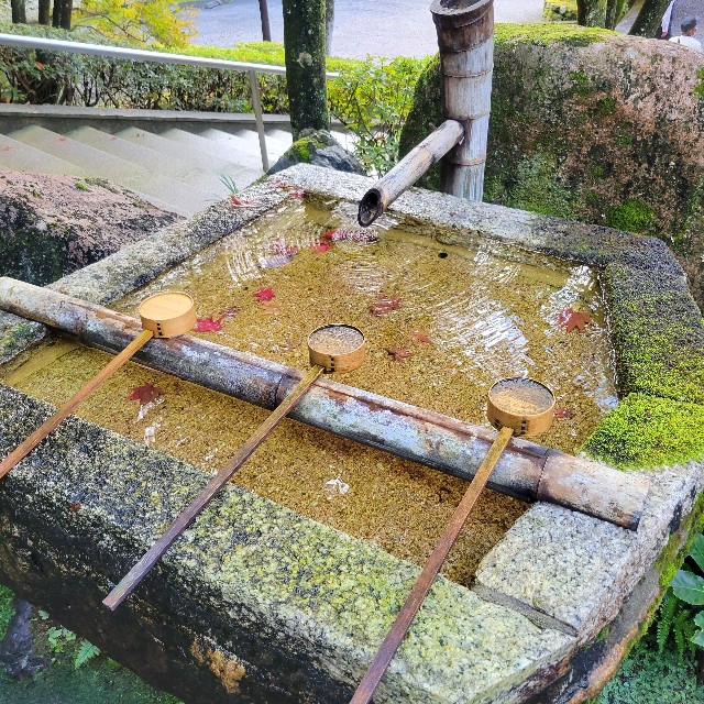 f:id:atoriatoriatori:20221214104629j:image