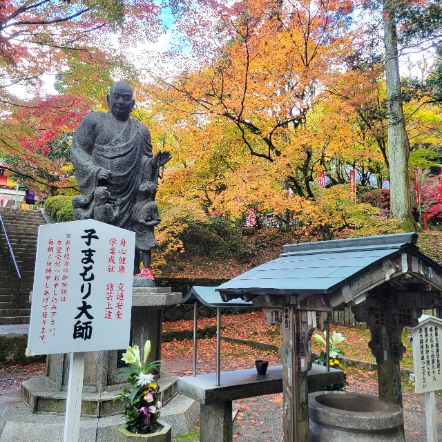 f:id:atoriatoriatori:20221214112213j:image