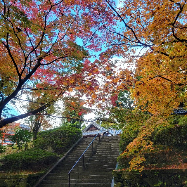 f:id:atoriatoriatori:20221214112225j:image
