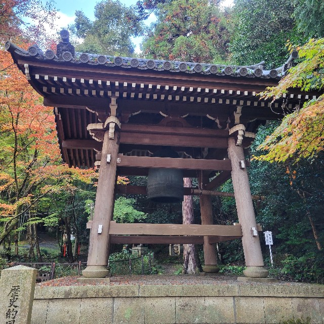 f:id:atoriatoriatori:20221214112232j:image