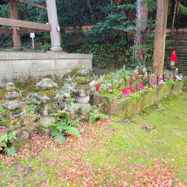 f:id:atoriatoriatori:20221214112248j:image