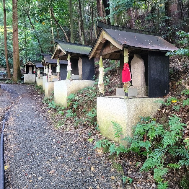 f:id:atoriatoriatori:20221214113641j:image
