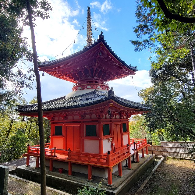 f:id:atoriatoriatori:20221214123849j:image