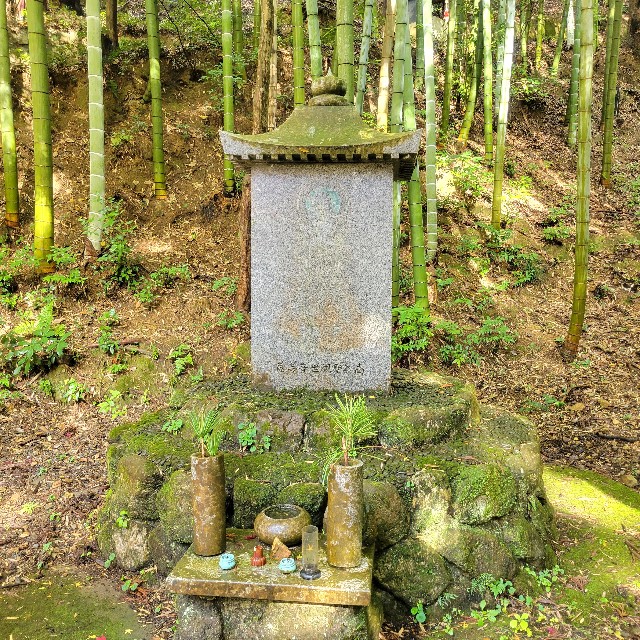 f:id:atoriatoriatori:20221214124849j:image