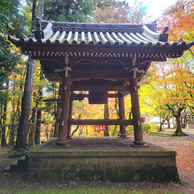 f:id:atoriatoriatori:20221214143231j:image