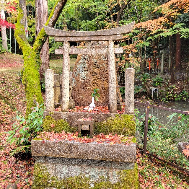 f:id:atoriatoriatori:20221214143831j:image