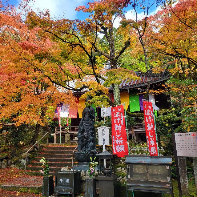 f:id:atoriatoriatori:20221214143845j:image