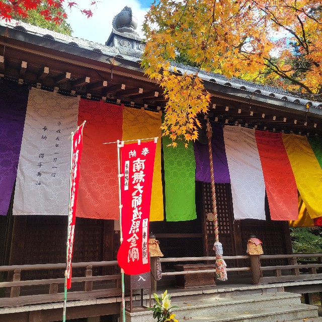 f:id:atoriatoriatori:20221214144017j:image