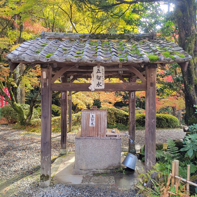 f:id:atoriatoriatori:20221214144159j:image