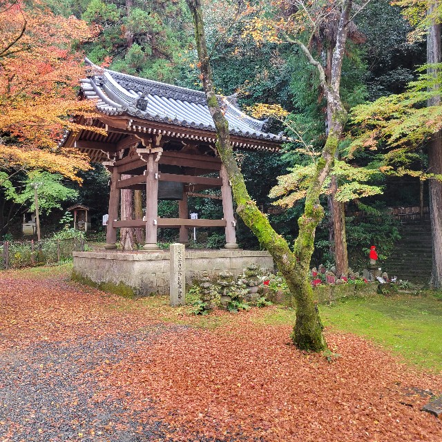 f:id:atoriatoriatori:20221214144421j:image