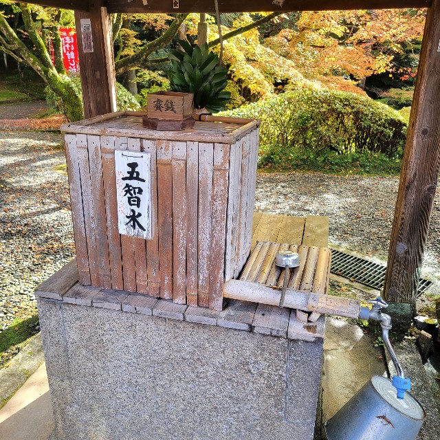 f:id:atoriatoriatori:20221214144502j:image