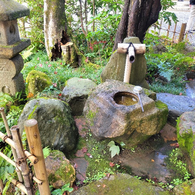f:id:atoriatoriatori:20221214152905j:image