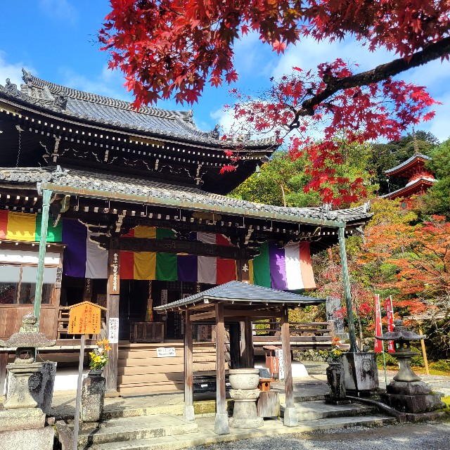 f:id:atoriatoriatori:20221214153728j:image