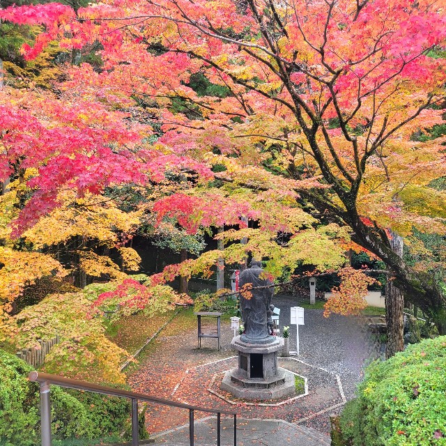 f:id:atoriatoriatori:20221214164006j:image
