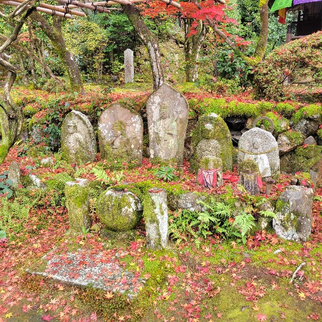 f:id:atoriatoriatori:20221214170048j:image