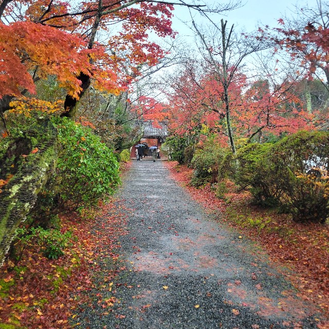 f:id:atoriatoriatori:20221223160940j:image