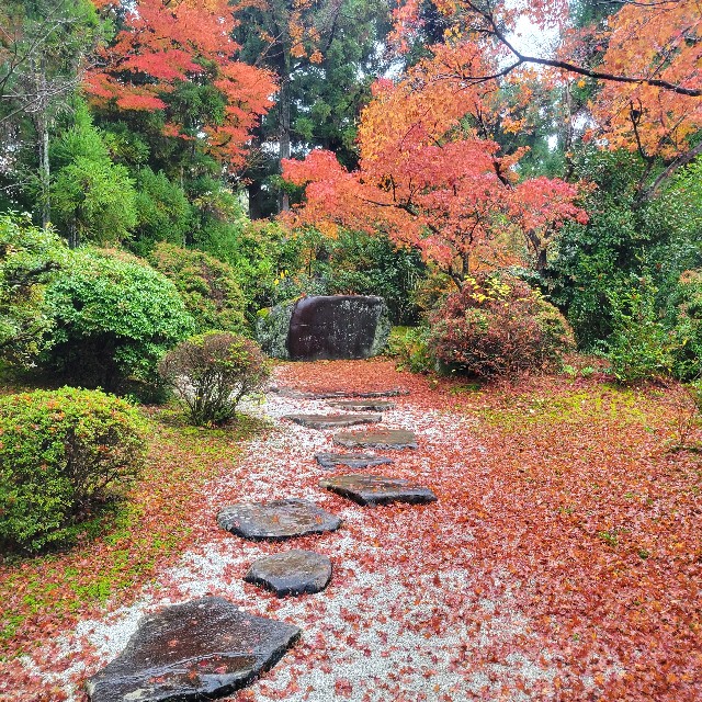 f:id:atoriatoriatori:20221223160959j:image