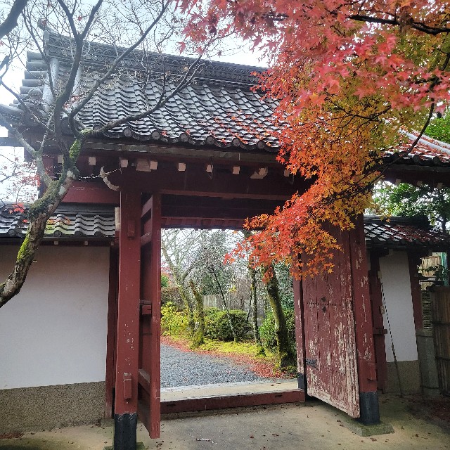 f:id:atoriatoriatori:20221223161630j:image