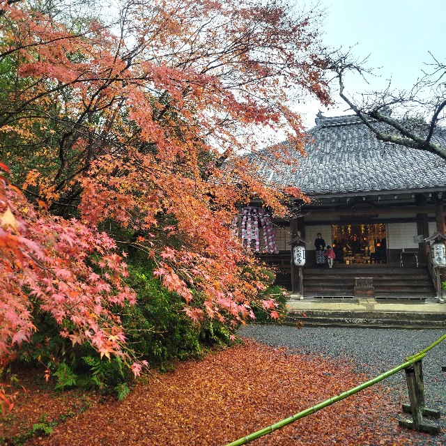 f:id:atoriatoriatori:20221223173615j:image