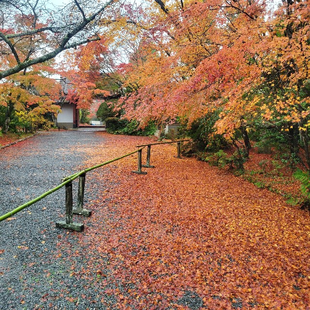 f:id:atoriatoriatori:20221223173735j:image