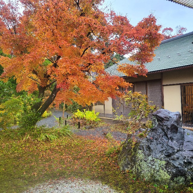 f:id:atoriatoriatori:20221223174038j:image